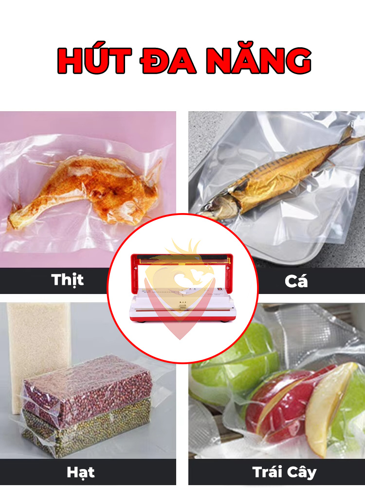 Máy Hút Chân Không Gia Đình DZ 300B