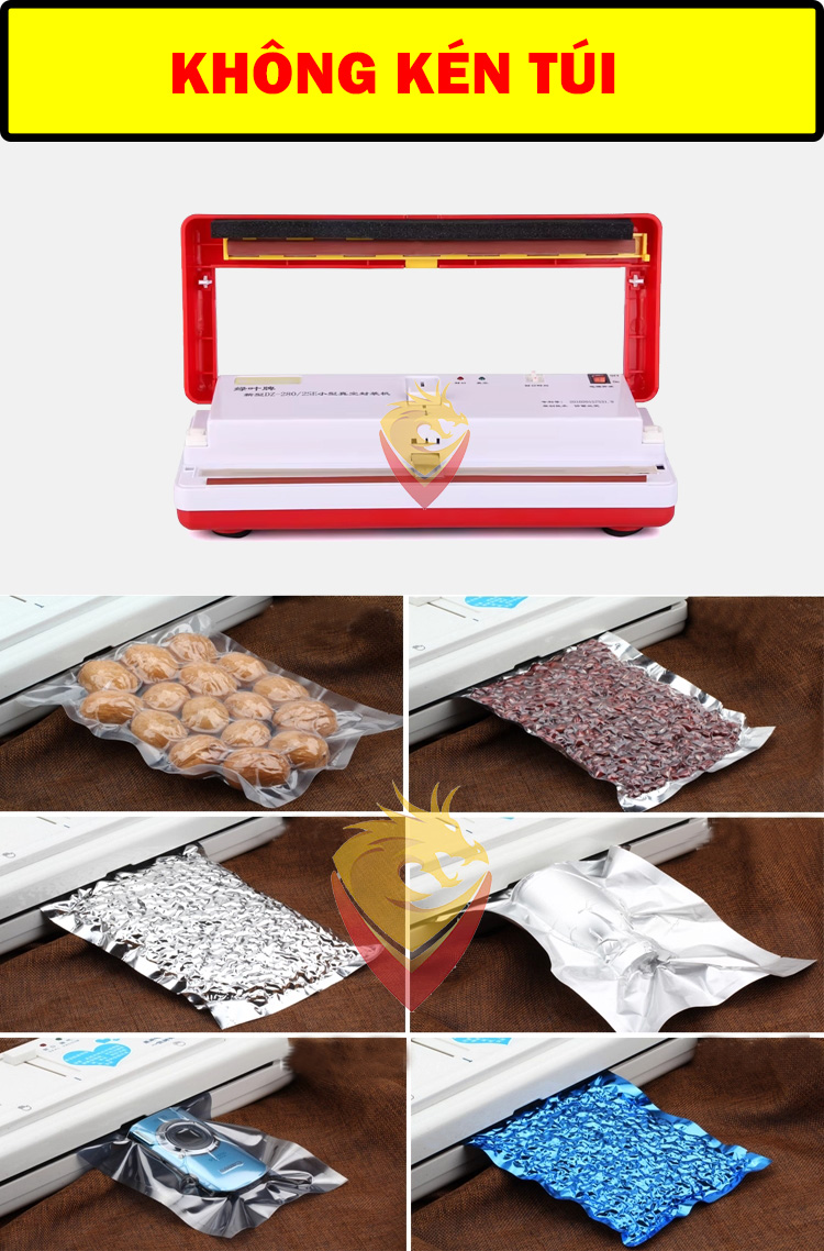 Máy Hút Chân Không Gia Đình DZ 300B