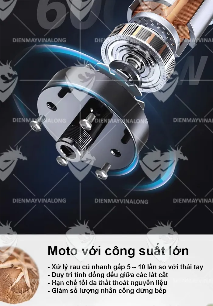 moto Máy thái rau củ DE-4119
