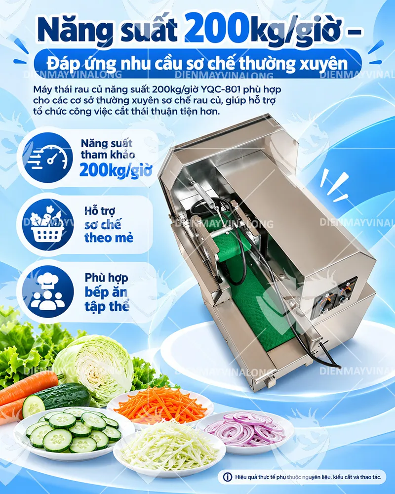 Máy thái rau củ quả YQC-801