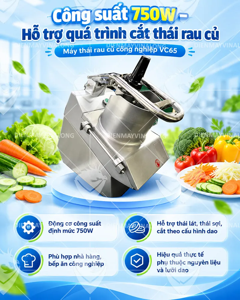 Máy Thái Rau Củ Quả VC65